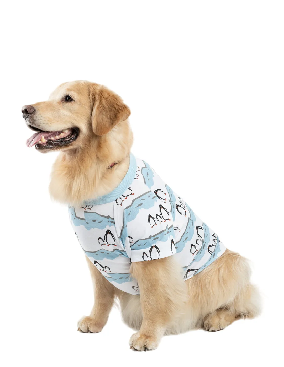 Big Dog Animal Print Pajamas