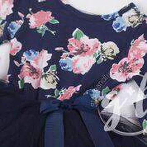 Navy Floral Long Sleeve Tutu Party Dress