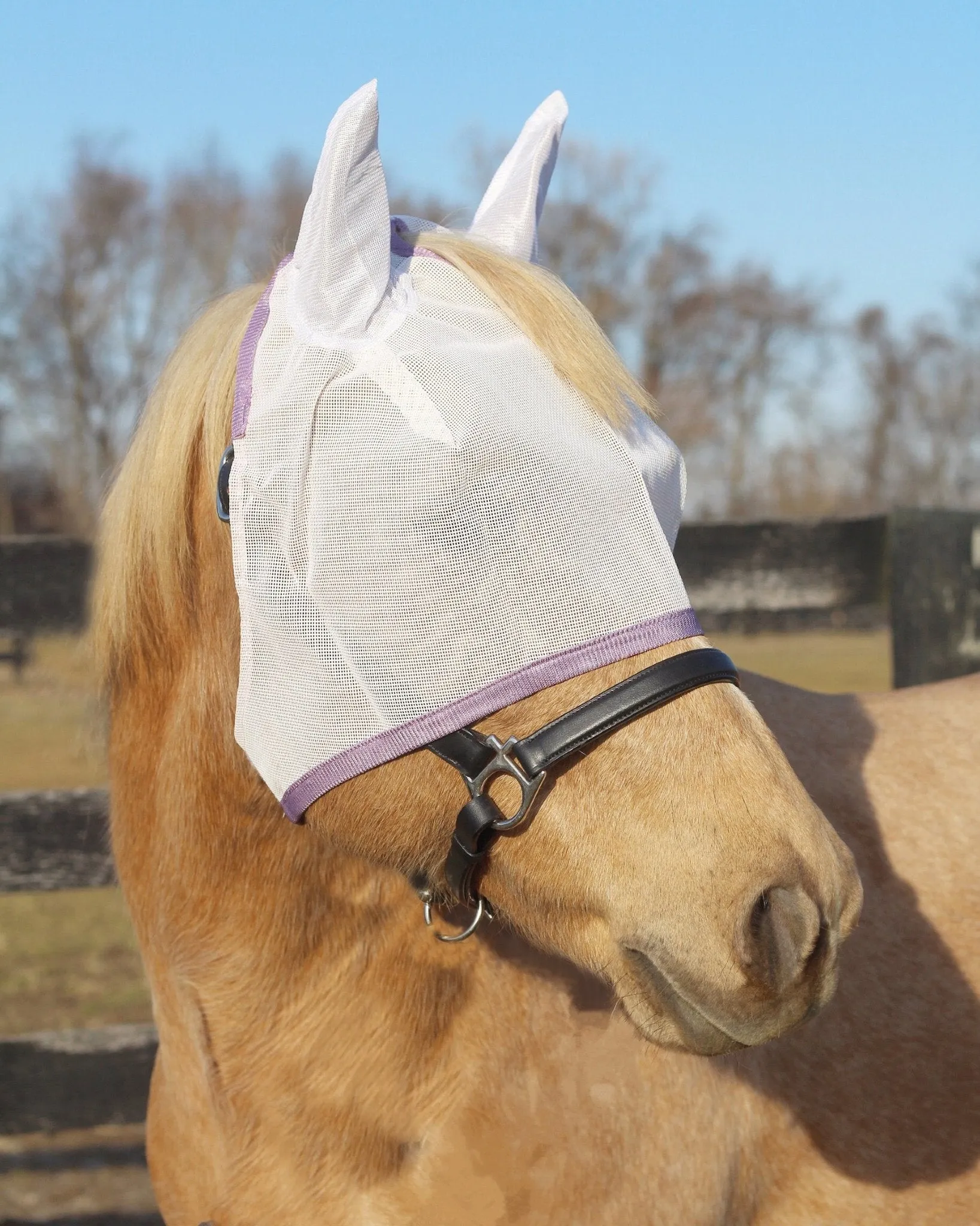 TuffRider Fly Masks with Ears