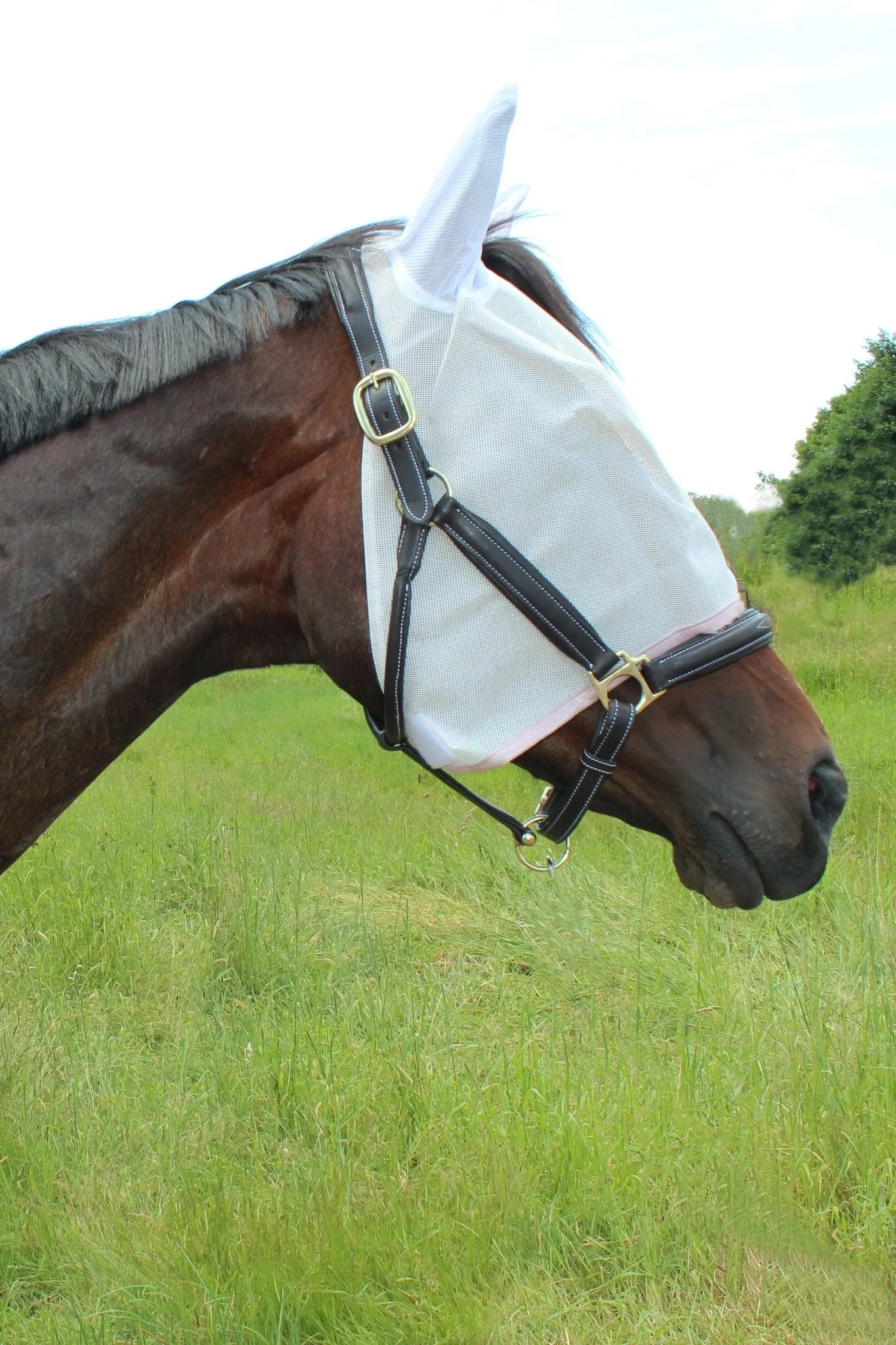 TuffRider Fly Masks with Ears